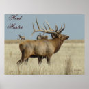 Zoek naar herd posters Elk