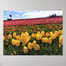 Recherche de hot air balloon posters Flowers