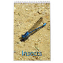 Recherche de insecte de vol Pour tous