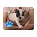 Recherche de animaux de compagnie magnets Pour animaux