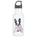 Recherche de french bulldog gourdes Français