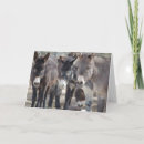 Zoek naar burro kaarten Ezel