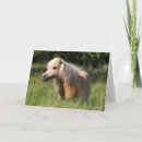 Zoek naar shetland pony kaarten Paard