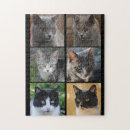 Recherche de kitty cat puzzles Tabby