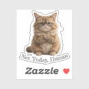 Zoek naar sarcastische humor stickers Sarcastisch citaat