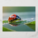 Recherche de optimiste cartes postales Inspiré