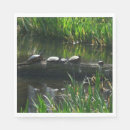 Recherche de tortue verte serviettes Tortues