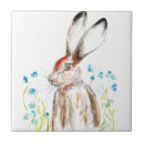 Recherche de lapin sauvage carreaux Nature