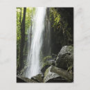 Zoek naar rainforest briefkaarten Natuur