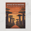Recherche de baobab cartes postales Morondava