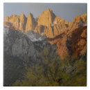 Recherche de forest carreaux Arbre