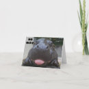 Recherche de hippopotame drôle vœux cartes Photographie