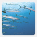 Recherche de créatures de vie marine autocollants Sous marin