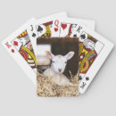 Recherche de nouveau bébé jeux de cartes Animal
