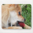Zoek naar puppy muismatten Dier