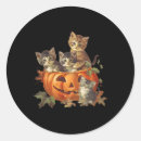 Recherche de vintage kittens autocollants Vacances