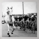 Zoek naar witte paarden posters For him