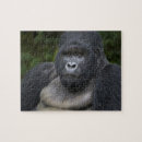 Recherche de trekker puzzles Ape