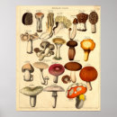 Recherche de champignon art Tabourets
