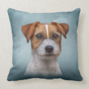 Recherche de terrier jack russell coussins Animaux