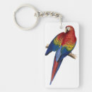 Recherche de perroquet coloré porteclés Macaw