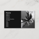 Recherche de paume mini cartes visite Moderne