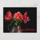 Recherche de amaryllis vœux cartes Fleur