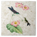 Recherche de oiseau rose carreaux Pourpre