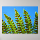 Zoek naar groen blad posters Natuur