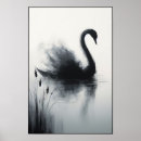 Zoek naar zwanen posters Elegantie