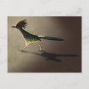 Recherche de roadrunner cartes postales Animal