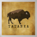 Recherche de buffle posters Bison