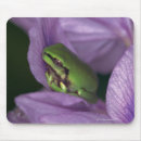 Recherche de arbre blanc tapis souris Nature