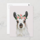Zoek naar roze lama briefkaarten Schattig