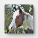 Recherche de cheval plaques Chevaux