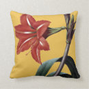 Recherche de amaryllis coussins Fleur d'amaryllis