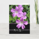 Zoek naar koreaanse kaarten Paars