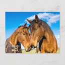 Recherche de avec chevaux cartes postales Bleu
