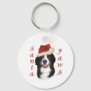 Recherche de berner porteclés Dog