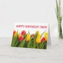 Zoek naar tulpen tijd briefkaarten Fotografie