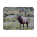 Recherche de parcs nationaux américains magnets Colorado