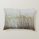 Zoek naar duinen kussens Kust