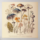 Zoek naar naturaliste posters Vintage