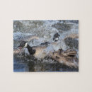 Recherche de craie puzzles Nature