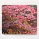 Recherche de automne feuille tapis souris Rouge