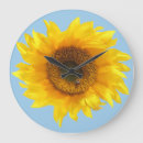 Zoek naar gelukkige zon klokken Helder