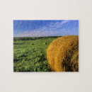 Recherche de foin puzzles Ferme
