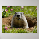 Recherche de journée de printemps posters Mignon