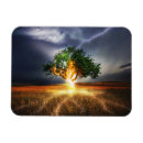 Recherche de écran magnets Arbre