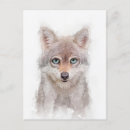 Recherche de portrait de loup cartes postales Sauvage